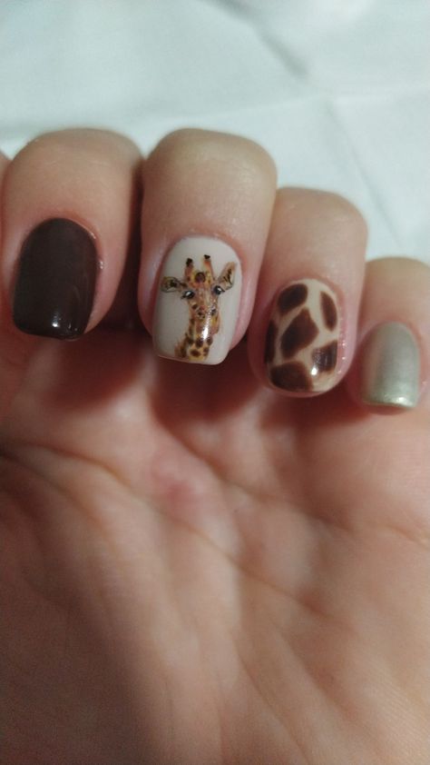 Hand with palm facing up and four nails bent over showing a dark brown on the index fingernail, a realistic hand painted giraffe face on a nude background on the middle nail.A giraffes fur pattern on the ringfinger nail and a shimmery champagne colour on the pinkyfingernail. The cuticles are clean and the glossy, overlay is smooth. African Safari Nails, Giraffe Nails Designs, Jungle Theme Nails, Giraffe Print Nails, Giraffe Nail Art, Elephant Nails, Giraffe Nails, Safari Nails, Painted Giraffe