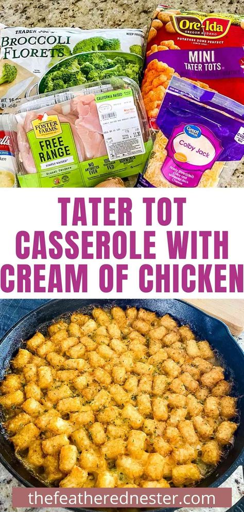 Broccoli Cheddar Tater Tot Casserole, Tator Tot Chicken Casserole Easy Recipes, Chicken Broccoli Tater Tot Casserole, Tater Tot Casserole With Broccoli, Easy Chicken Tater Tot Casserole, Tator Tot Casserole With Cream Of Chicken Soup, Chicken Tater Tot Recipes, Shredded Chicken Tater Tot Casserole, Chicken And Tater Tots Recipes