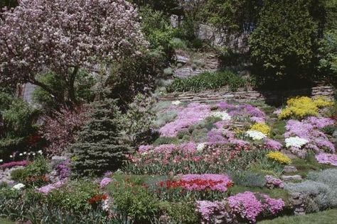 Sloped Yard & Rocky Landscaping Ideas Hill Landscaping, Sloped Backyard Landscaping, Landscaping A Slope, Landscaping On A Hill, Porch Landscaping, Sloped Yard, Sloped Backyard, Hillside Landscaping, Sloped Garden