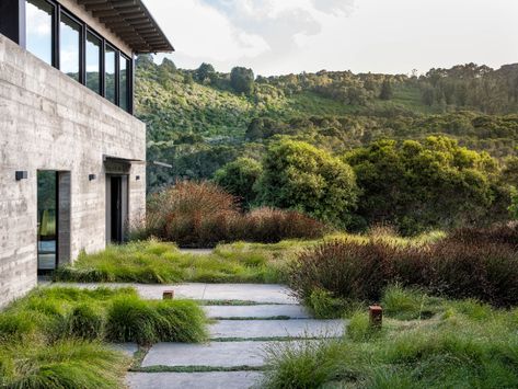 California Dreaming: A Golden Landscape on the Edge of the Continent - Gardenista California Wildflowers, California Outdoor, Low Water Gardening, Live Oak Trees, Modern Landscape Design, House Landscaping, Butterfly House, Garden Tours, House Landscape