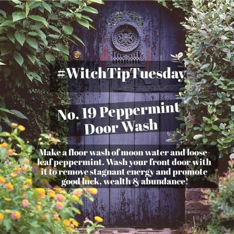 Washing Front Door With Peppermint, House Blessing Witchcraft, Witches Front Door, Witch Entryway, Witch House Cleaning, Witchy Front Door, Magical Herbs Witchcraft, Window Protection, Witchy House