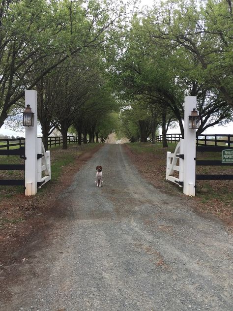 Farm Fence Gate, Farm Gates Entrance, Entrance Gates Driveway, Entrance Landscaping, Property Gates, Driveway Fence, Circle Driveway, Driveway Entrance Landscaping, Farm Entrance