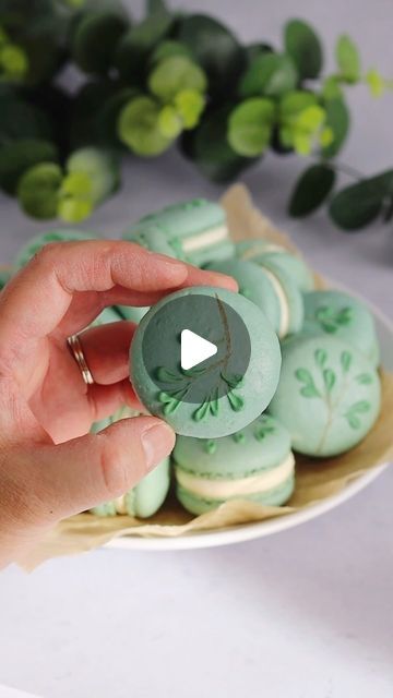 Jath | Macarons and Cake | VIC, Australia on Instagram: "I turned decor in my home into a delicate monochrome inspiration! Eucalyptus is such a calming colour for me. How about for you?

If you’ve been following me for a while now, you know I very rarely have circle macarons without embellishments. 😆 Macarons are just like blank canvases begging to be decorated!

I used @colour.mill aqua blend clay and eucalyptus and a fine nail art brush for the branches and the royal icing leaves. Palette knife to give movement to the leaves.

Inspo by Susan Fern Art on Etsy 🤍

#macarons #macaronlove #macaronstagram #hobbybaker #mombaker" Royal Icing Leaves, Icing Leaves, Fern Art, Hippity Hoppity, Art Brush, Nail Art Brushes, Calming Colors, Palette Knife, Royal Icing