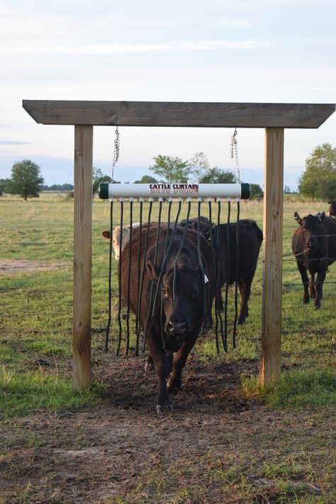 Cattle Farming Ideas, Cow Pen Ideas, Cow Farm Ideas, Cattle Ranching Farms, Cow Barn Ideas, Livestock Feeders, Agritourism Ideas, Cattle Shed, Farm Accessories