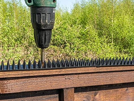 Bird Deterrents, Bird Repellents, Outdoor Gate, Fence Toppers, Fence Wall, Security Fence, Back Garden Design, Uk Garden, Wooden Gates