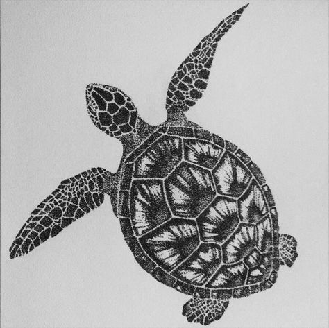 Turtle Drawing Black And White, Turtle Stippling Art, Shellback Turtle Tattoo, Sea Turtle Black And White, Turtle Black And White, Ship Tattoo Sleeves, Turtle Sketch, Tortoise Tattoo, Sea Turtle Drawing