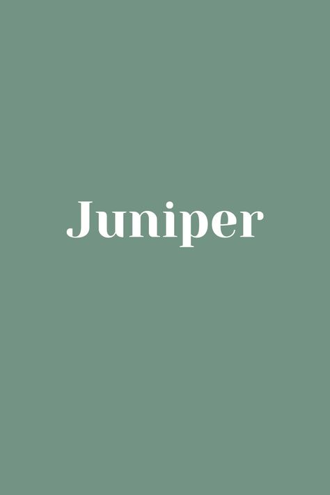 Juniper Name Aesthetic, Stuffie Names, Juniper Name, Breanna Core, J Baby Names, Child Names, Baby Baker, Names I Love, Country Cottagecore