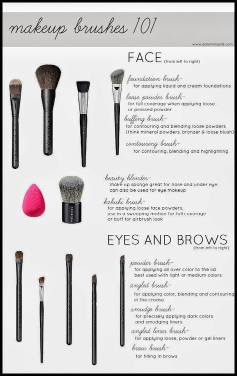 Different kinds of makeup brushes and what they're used for. Brush Guide, Color Tips, Makeup Brushes Guide, Makeup 101, Trendy Makeup, Blush Brush, Beauty Blender, Makati, Love Makeup