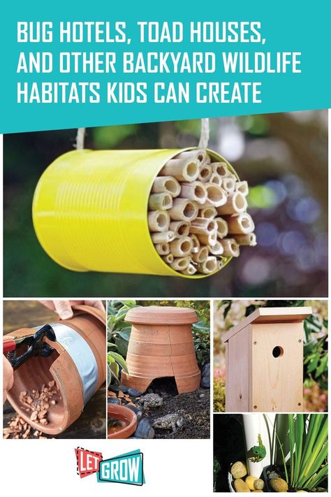 Attract and support birds, bees, reptiles, and other animals with these DIY projects. Kids can create these backyard wildlife habitats all on their own. Creating Animal Habitats, Wildlife Crafts For Kids, Diy Projects Kids, Bug Hotels, Nature Club, Backyard Birds Sanctuary, Habitats Projects, Backyard Animals, Toad House