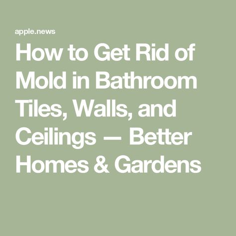 How to Get Rid of Mold in Bathroom Tiles, Walls, and Ceilings — Better Homes & Gardens How To Get Rid Of Mold On Bathroom Ceiling, How To Get Rid Of Bathroom Mold, Mold On Bathroom Ceiling, Remove Mold Stains, Mold In Bathroom, Cleaning Tile Floors, Cleaning Mold, Ceiling Texture, Bathroom Ceiling