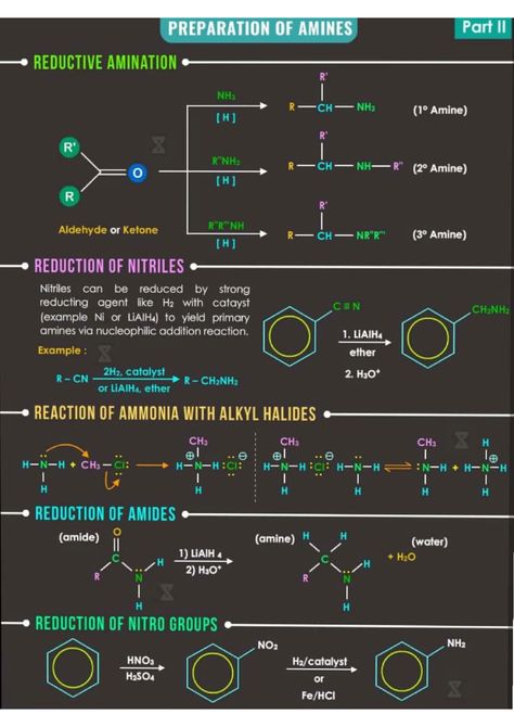 Learn about Amines - Chemistry Short Notes Chemistry Short Notes, Mineral Nutrition, Redox Reactions, Human Body Facts, Hydrogen Atom, Short Notes, Functional Group, Atomic Structure, Cell Cycle