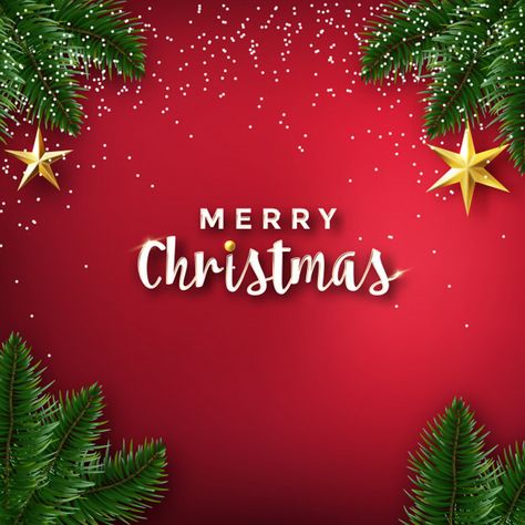 Check out my @Behance project: “christmas-holiday-background-and-greeting-design” https://www.behance.net/gallery/74081027/christmas-holiday-background-and-greeting-design Birthday Tarpaulin Design, Tarpaulin Design, Christmas Party Backdrop, Christmas Background Images, Velvet Wallpaper, Chic Wallpaper, Love Anniversary Quotes, Holiday Background, Party Background