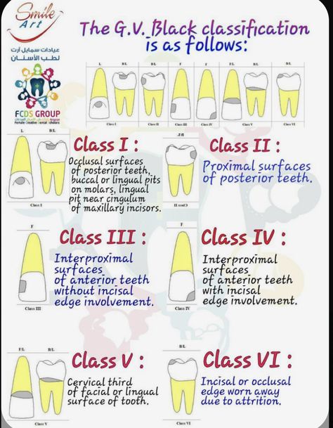 Dental Assistant Study Guide, Dental Charting, Dental Assistant School, Dental Hygienist School, Dental Assistant Study, Dentist Assistant, Dental Hygiene Student, Dental World, Kedokteran Gigi