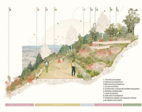 Landscape Architecture Representation, Landscape Design Presentation Board, Landscape Architecture Rendering Styles, Park Illustration Background, Landscape Architecture Portfolio Cover, Section Landscape Architecture, Landscape Visualisation, Concept Section, Landscape Section