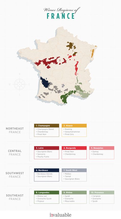 France Wine Map, Wine Regions Of France, France Wine Regions, Wine Infographic, Wine Region Map, French Wine Regions, Wine Basics, Wine Chart, Wine Production