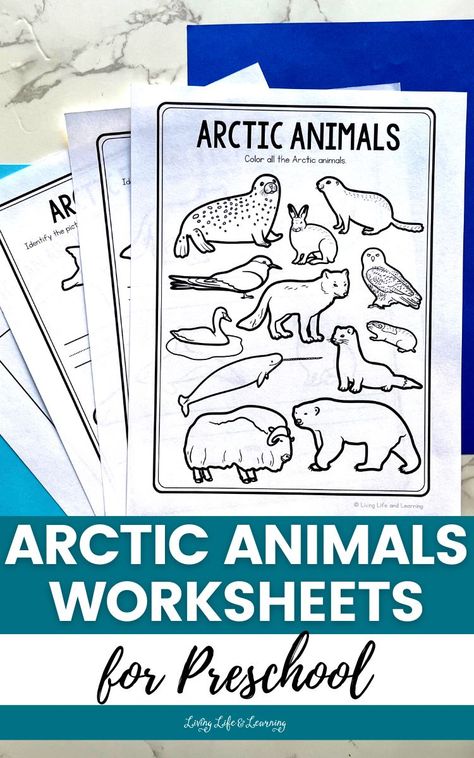 Arctic Animals Lesson Plans Preschool, Preschool Artic Animals Activities, Arctic Animal Activities For Preschool, Artic Animals Crafts For Toddlers, Polar Animals Preschool Activities, Arctic Animals Printables, Arctic Animals Preschool Activities, Polar Animals Preschool, Winter Animals Preschool