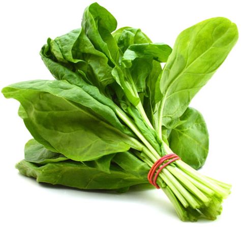 21 Amazing Benefits Of Spinach For Skin, Hair And Health Rat Food, Green Leafy Vegetables, Spinach Benefits, Spinach Seeds, Power Foods, Leafy Vegetables, Spinach Leaves, How To Grow Taller, Green Vegetables