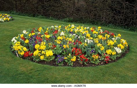 Round Flower Bed Stock Photos & Round Flower Bed Stock Images - Alamy Small Round Flower Bed Ideas, Curved Flower Beds, Circular Flower Bed Ideas, Round Flower Bed Ideas, Circle Flower Garden, Circle Flower Bed, Circular Flower Bed, Annual Garden Beds, Patio Edging