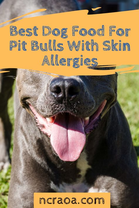 Do you have a pit bull with skin allergies? Finding the right food for your doggo can help with those allergies. Check out our dog food recommendations. Homemade Dog Food For Pitbulls, Dog Food Recipes For Allergies, Homemade Dog Food Recipes For Large Dogs, Pitbull Skin Remedies, Best Dog Food For Pitbulls, Homemade Dog Food For Allergies, Recipes For Allergies, Pitbull Food, Pitbull Care Tips