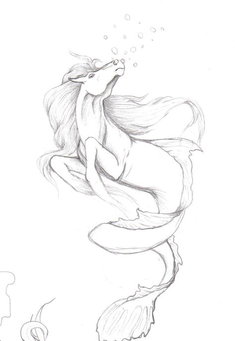 Caldecia: The Merhorse Kelpie Horse, Line Art Projects, Mythical Creatures Drawings, Sea Creatures Drawing, Cool Easy Drawings, Dragon Horse, Horse Sketch, Graph Paper Drawings, Dragon Sketch