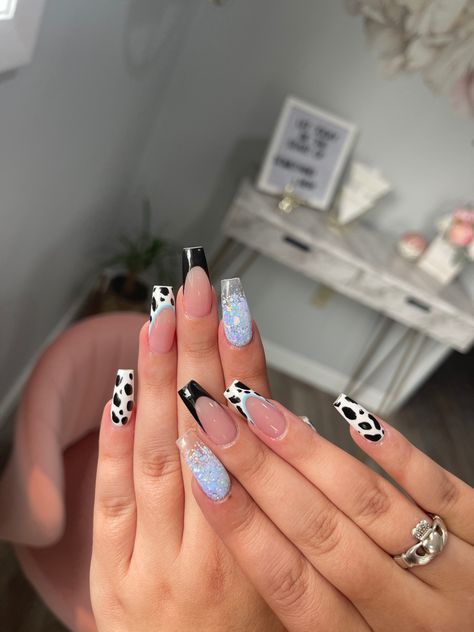 Coffin Shape Cow Print Nails, Sparkly Cow Print Nails, French Tip Country Nails, Summer Western Nail Ideas, Blue Cow Print Nails Acrylic, Glitter Cow Nails, Christmas Cow Print Nails, Blue Cowprint Nails, Teal And Cow Print Nails