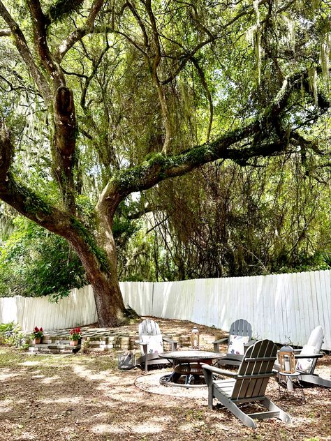 Sit with guest under the dreamy old oak covered in moss. Add a hammock or additional sitting areas under the landscaped trees. Sitting Area Under Tree, Under Tree Seating Area, Trees For Front Yard, Sitting Areas, Sitting Area, Oak Tree, Diy Backyard, Seating Area, House Decor