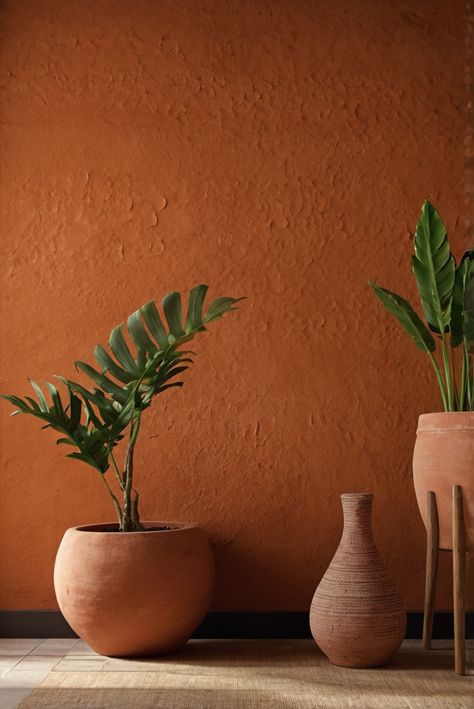 Get ready to transform your space with Terracotta Treasures! Discover the best colors for warm, earthy walls in this daily interior designer routine. #Ad #homedecor #homedesign #trendgirlApartment #Painthome #interiorarchitecture Wall Colors Green Room Colors
Bright Room Colors
Apartment Renovation
Home Remodeling
Modern Paint Colors
2024 Terracota Wall Color, Limewash Terracota, Teracota Interior Wall, Terracotta Wall Paint, Terra Cotta Accent Wall, Earth Tone Color Palette Living Rooms, Rust Paint Color, Green And Terracotta Color Scheme, Terracotta Wall Color