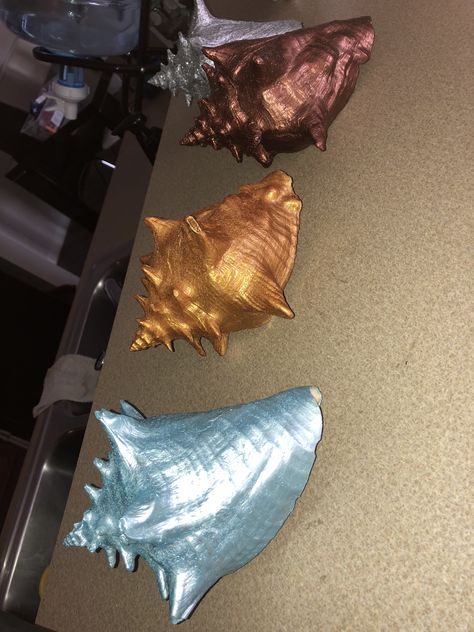 Painted Conch Shells, Shells Art, Shell Painting, Conch Shells, Dreamy Garden, Oyster Shell Crafts, Seashell Projects, Painted Shells, Seashell Art