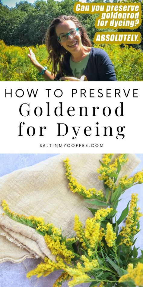 You can preserve goldenrod to use for natural dye, but it's important to know which ways work, and which ones don't, or you'll lose that sunny yellow color! While drying doesn't work well for this particular dye plant, there are other ways that DO work. This article will teach you how. Christmas Toy Knitting Patterns, Beanie Knitting Patterns Free, Natural Dye Fabric, Natural Parenting, Botanical Dyeing, Rainwater Harvesting, Eco Printing, Wild Food, Sunny Yellow