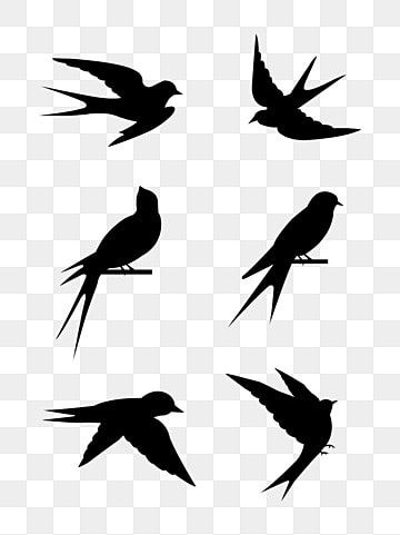 cartoon silhouette,fly,wing,swallow,little swallow,black silhouette,bird animals,silhouette material,cartoon hand drawn Swallow Vector, Birds Flying Silhouette, Swallow Silhouette, Air Cartoon, Flying Bird Drawing, Wing Png, Animals Silhouette, Bird Silhouette Art, Flying Bird Silhouette