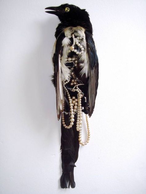 Feminine Maximalist, Dead Bird, Maximalist Interior, Taxidermy Art, Art Major, Vulture Culture, Architecture Tattoo, 1 Tattoo, Cabinet Of Curiosities