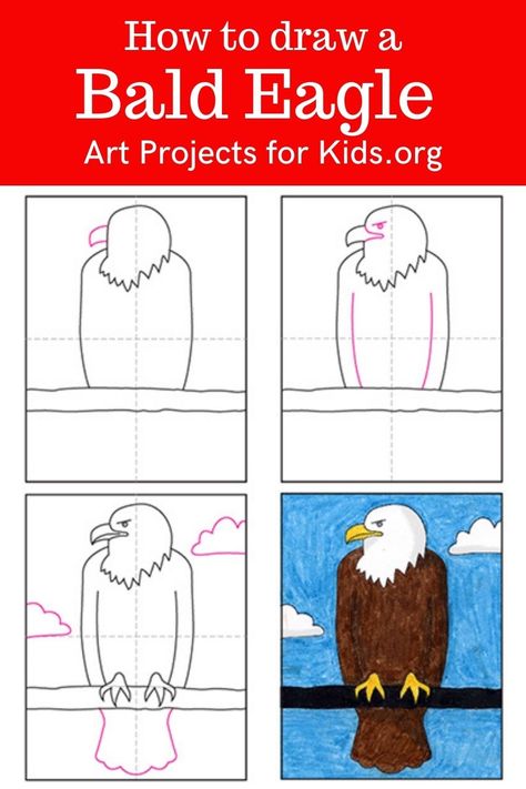 Learn how to draw a Bald Eagle with an easy step-by-step PDF tutorial. #howtodraw #tutorial #drawing #drawingtutorial #arttutorial #artprojectsforkids #howtodrawforkids #baldeagle How To Draw An Eagle, Drawing Classes For Kids, Cute Drawings For Kids, Third Grade Art, Oil Pastel Drawings Easy, Easy Animal Drawings, Eagle Drawing, Easy Art For Kids, Baby Painting