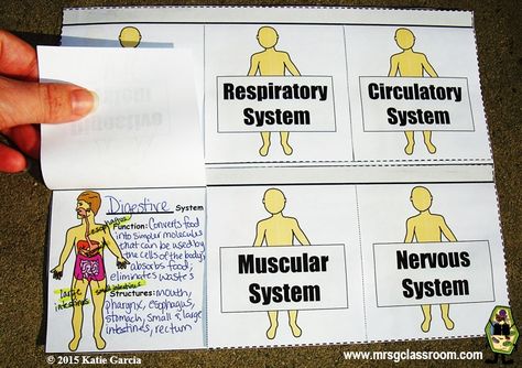 Monster Worksheet, Science Interactive Notebooks, Vocabulary Foldable, Human Body Systems Projects, Body Systems Project, Punnett Squares, Human Body Science, Human Body Activities, Middle School Science Teacher