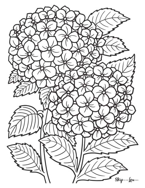 FREE Flower Coloring Pages for Kids and Adults | Skip To My Lou Flower Coloring Sheets, Printable Flower Coloring Pages, Hydrangea Colors, Detailed Coloring Pages, Free Adult Coloring Pages, Printable Adult Coloring Pages, Pola Sulam, Flower Printable, Flower Coloring Pages