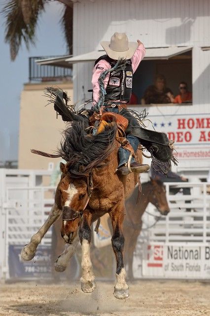 Saddle Bronc Riding, Saddle Bronc, Bronc Riding, Rodeo Time, Rodeo Events, Rodeo Cowboys, Cowboy Pictures, Real Cowboys, Bucking Bronco