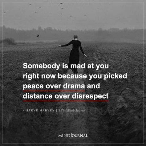 Somebody is mad at you right now because you picked peace over drama and distance over disrespect.– Steve Harvey Distance Over Disrespect, Toxic Siblings, Peace Over Drama, Saved Quotes, Disrespectful People, Mad Quotes, Mad At You, The Minds Journal, Better Mental Health