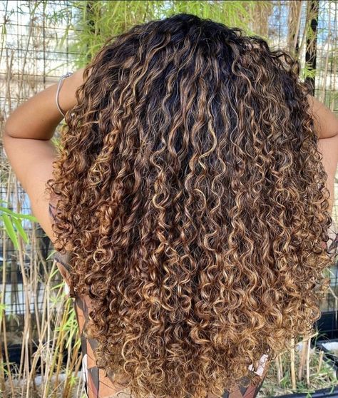 Curry Hair Highlights, Brunette Balayage Hair Natural Curls, Curly Golden Highlights, Curl Hair Balayage, Highlights For Light Skin Tone, Dimensional Highlights Curly Hair, Curly Honey Blonde Highlights, Highlights Black Women Curly Hair, Butterscotch Curly Hair