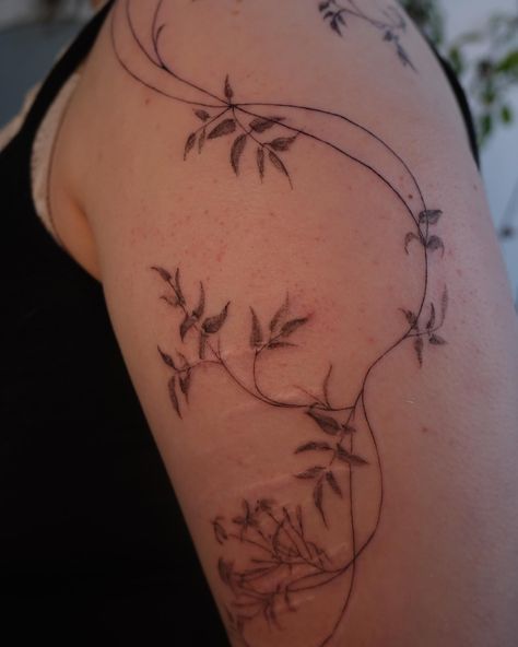 Jasmine vines for Maria 🌿🌿 Took 2 hours 15 mins Done @inkpress.studio Booking for Chicago (1 spot left) #jasminevine#vinetattoo#floraltattoo#fineline#tewetubby#sftattooartist Shaded Vine Tattoo, Jasmine Vine Tattoo, Honeysuckle Vine Tattoo, Back Vine Tattoo, Jasmine Vines, Bestie Tats, Vines Tattoo, Jasmine Tattoo, Ivy Tattoo