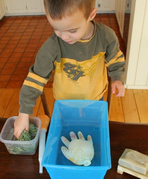 Learn about hand washing and germs with this fun activity perfect for toddlers, preschoolers and Kindergarten too! #germs #handwashing #toddleractivities #preschoolactivities #kindergartenscience Washing Hands Activities, Lesson For Kindergarten, Germs Activities, Cosmetics Packaging, Science Lesson, Washing Hands, Health Smoothies, Health Lessons, Healthy Work Snacks