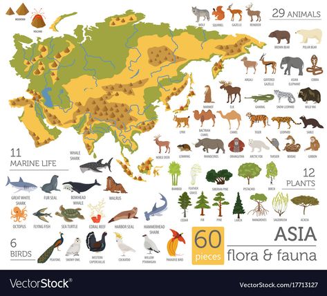 Elements Animals, Animal Infographic, Montessori Geography, Fun Facts About Animals, Montessori Toddler Activities, English Lessons For Kids, Animal Facts, Silly Animals, Illustrated Map