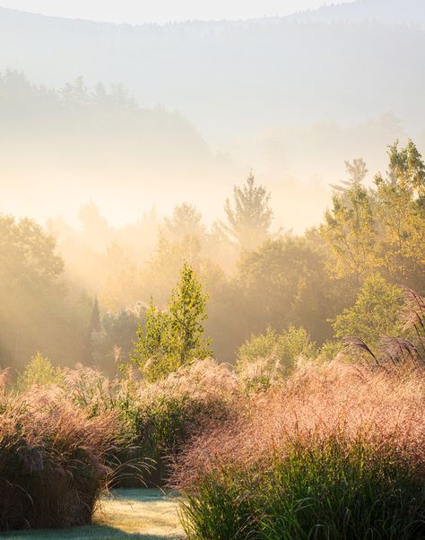 October Mindfulness: Vincent van Gogh Reminds Us to Open Our Eyes This Autumn Southern Farmhouse, Fields Of Gold, Photographer Inspiration, Beautiful Farm, Garden Photography, Home Landscaping, Months In A Year, Vincent Van Gogh, New Hampshire