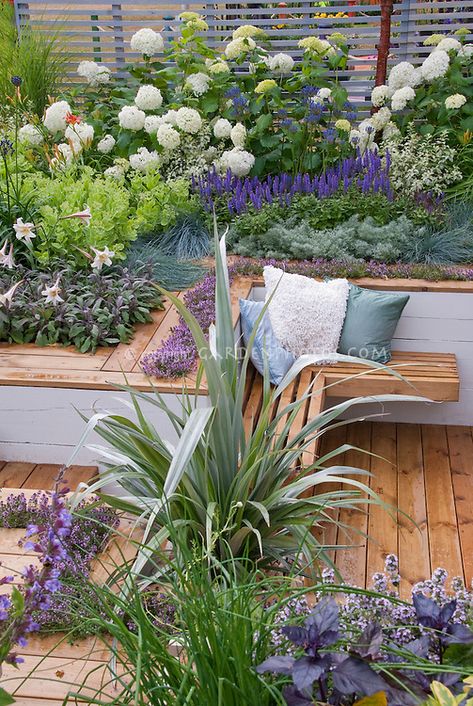 Deck Landscaping, Garden Seating Area, Sunken Garden, Have Inspiration, Plants And Flowers, Garden Seating, Garden Cottage, Back Garden, Small Gardens