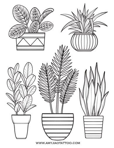 Plant Sketches, Plant Doodle, Outline Illustration, 수채화 그림, Plant Drawing, Coloring Book Art, Coloring Book Pages, Doodle Drawings, Art Drawings Simple