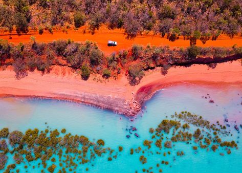 Australia Landscape, Australian Road Trip, Australia Tourism, Australia Vacation, Outback Australia, Australian Travel, Australian Bush, Australian Flora, Australian Wildlife