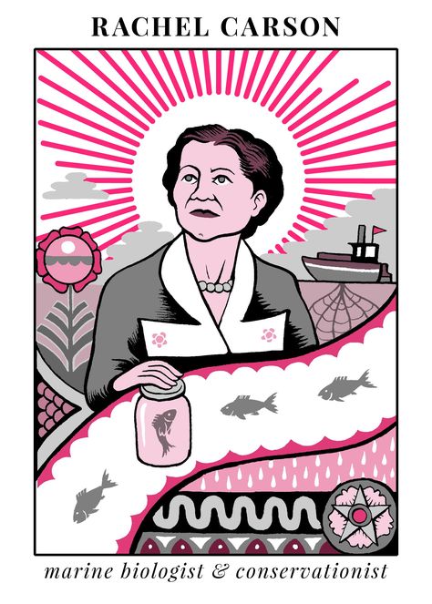 There was so much more to Rachel Carson beyond 'Silent Spring' Mary Louise Parker, Environmental Scientist, Rachel Carson, Medical Careers, Marine Biologist, Desenho Tattoo, Book Projects, Science Art, Women In History