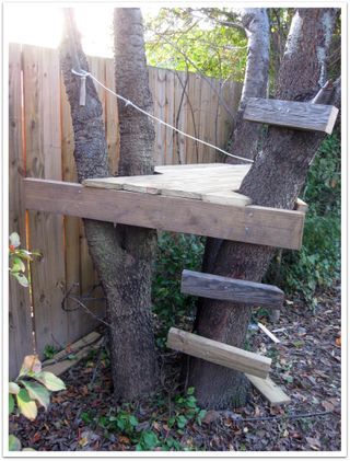 Diy Tree House, Tree Forts, Simple Tree House, Fort Ideas, Backyard Fort, Tree House Ideas, Treehouse Ideas, Tree House Plans, Tree Fort