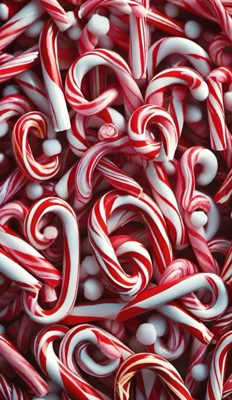 Cute Christmas Background, Nail Background, Peppermint Forest, Pink Christmas Wallpaper, Candy Cane Background, Cute Christmas Backgrounds, Monochromatic Photography, Aesthetic Exterior, Outside Aesthetic