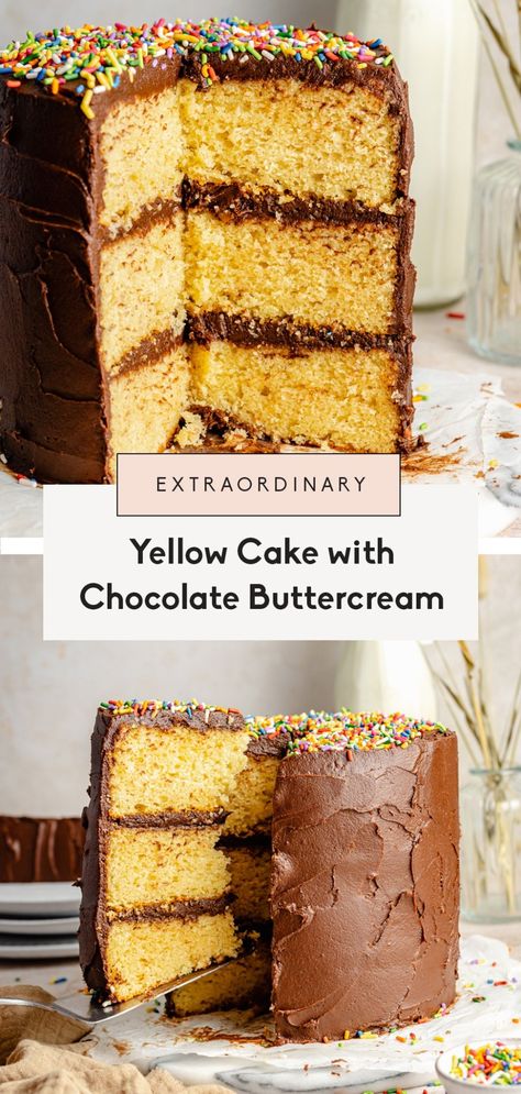 The Best Yellow Cake with Chocolate Buttercream | Ambitious Kitchen Homemade Yellow Cake, Chocolate Buttercream Frosting Recipe, Patty Cakes, Yellow Cake Recipe, Ambitious Kitchen, Famous Chocolate, Baking Inspiration, Chocolate Buttercream Frosting, Decorating Cookies