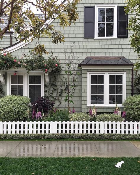 Colonial Paint Exterior, Shutters On Shingle House, Green House With White Windows, House Color Combos Exterior, Sherwin Williams Rainwashed Exterior, Exterior House Color With White Windows, Coastal Plain Sherwin Williams Exterior, Light Green Siding House Exterior Colors, Exterior Paint Colors For House Gray White Trim Colour Schemes