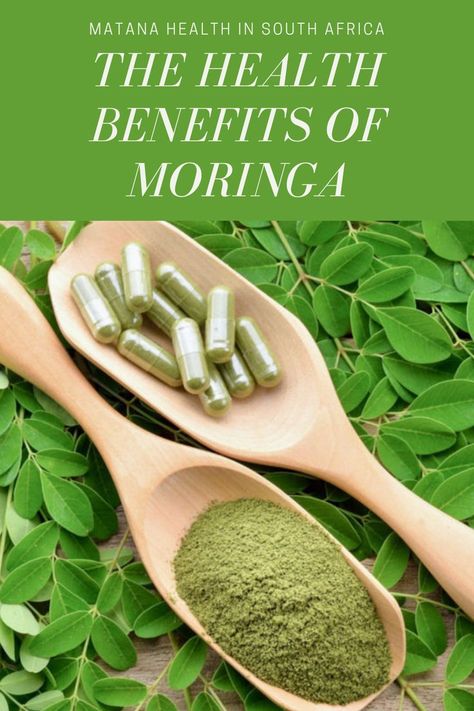 Morning Green Smoothie, Moringa Capsules, Moringa Benefits, Moringa Powder, Ginger Smoothie, Daily Diet, Food Labels, Medicinal Herbs, Health Remedies